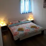 4496-1 *