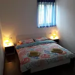 4496-1 كريس